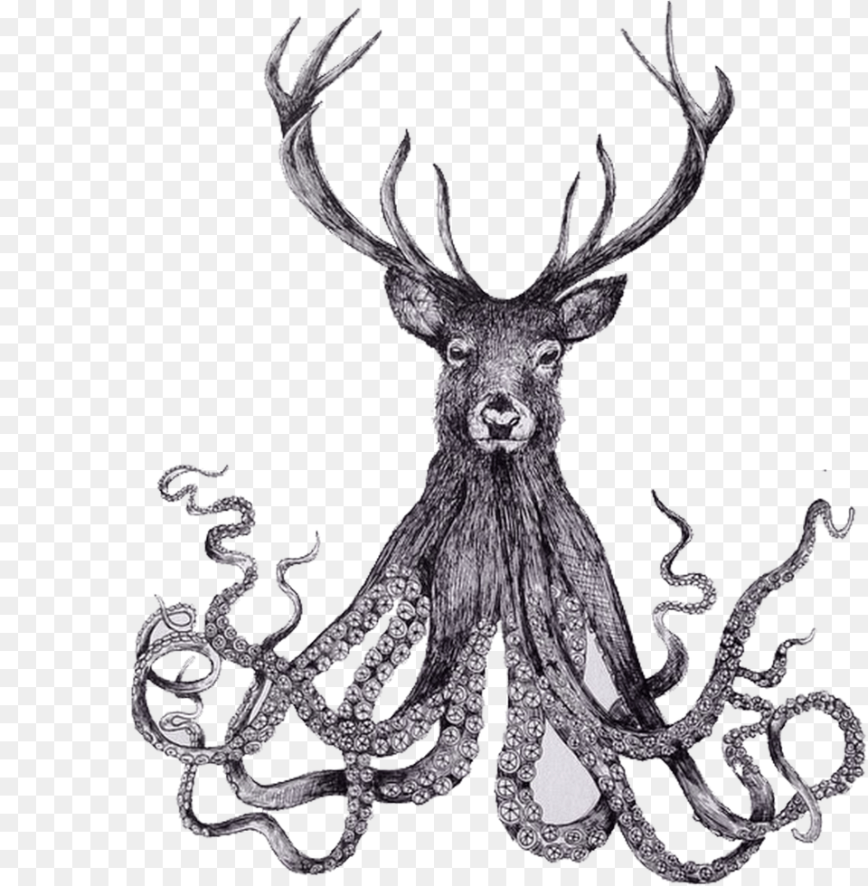 Banner Black And White Download Paper Illustrator Illustration Deer Drawing Pen, Antler, Animal, Antelope, Mammal Free Png