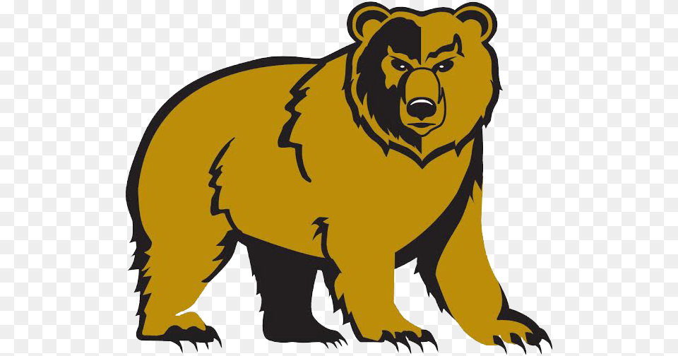 Banner Black And White Library Bears Clipart Golden Shelbyville High School Golden Bears, Animal, Bear, Mammal, Wildlife Free Transparent Png