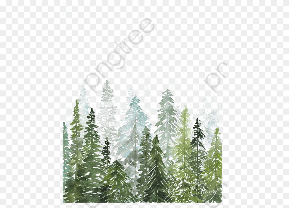 Banner Black And White Woods Clipart Forest Watercolor Pine Tree Forest, Vegetation, Fir, Plant, Conifer Free Png Download