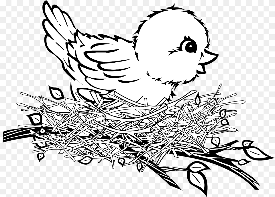 Banner Cartoon Birds Patterns Bird In The Nest Clipart Black And White, Baby, Person, Face, Head Png