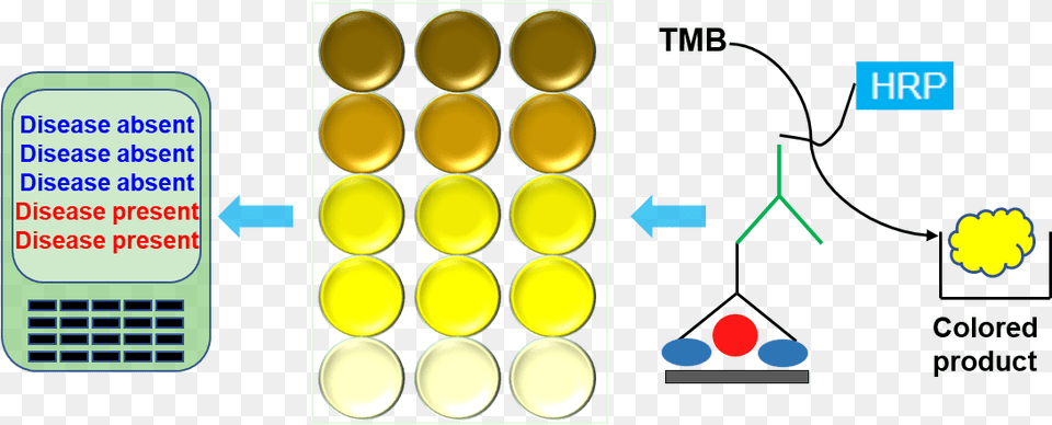 Banner Circle, Light, Traffic Light Png