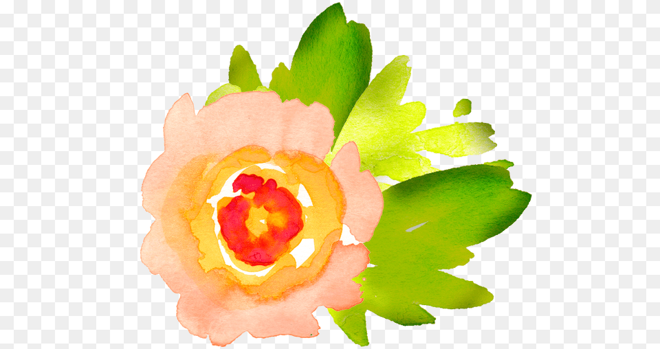 Banner Download Clipart Download Wallpaper Full Watercolor Floral Clip Art, Rose, Plant, Flower, Floral Design Free Transparent Png