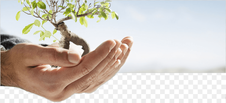 Banner Environmental Science And Natural Resources, Body Part, Finger, Hand, Person Free Png Download