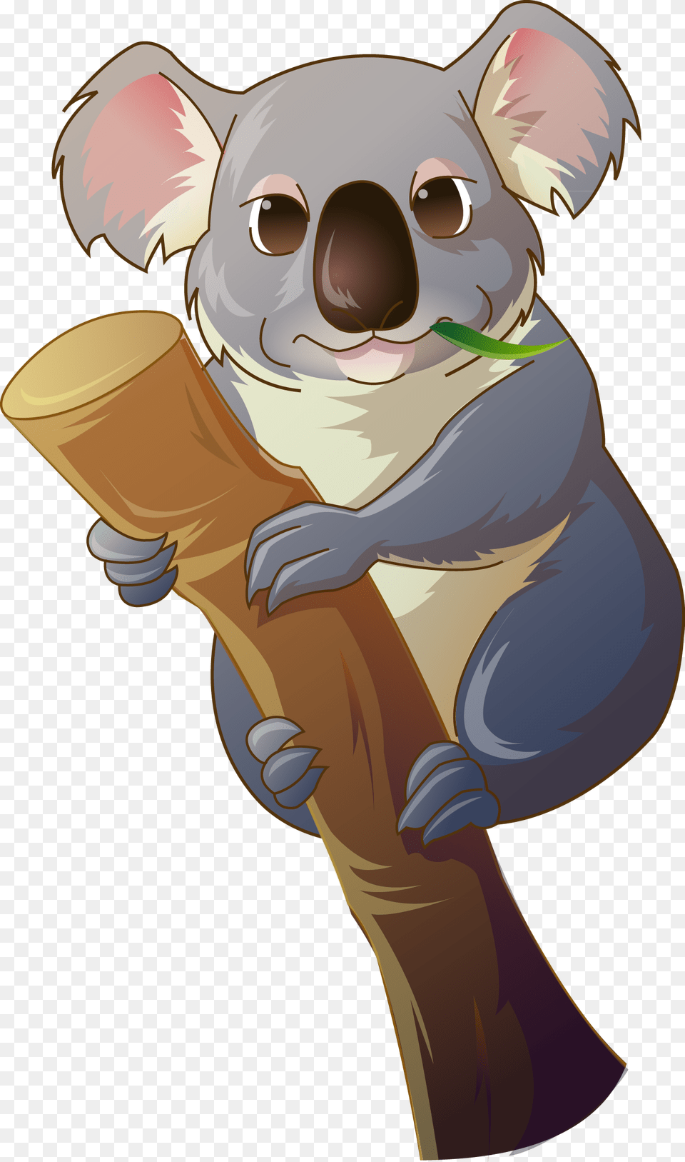 Banner Library Clip Art Lazy Transprent Koala Vector, Animal, Mammal, Wildlife, Baby Free Png