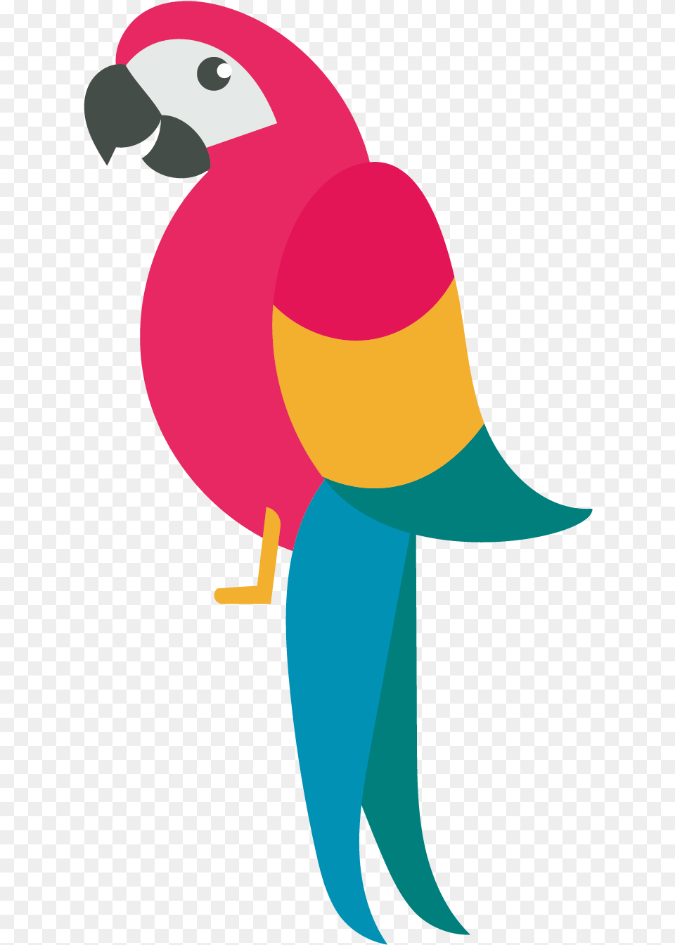 Banner Stock Draw Birds Parrot Clip Art Transprent Cute Parrot Drawing, Animal, Beak, Bird, Adult Free Png