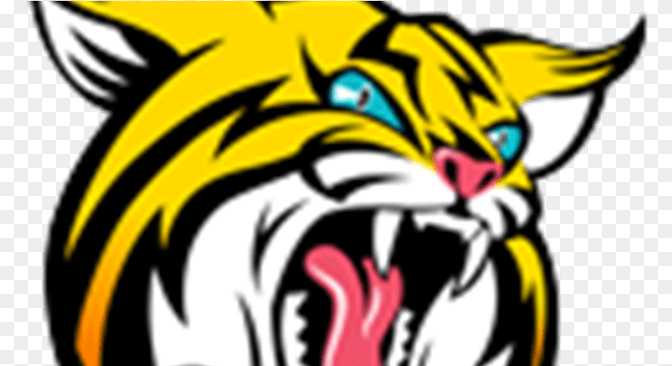 Banner Freeuse Download Bobcat Clipart Tiger Boca Raton High School Bobcat, Baby, Person, Book, Comics Png