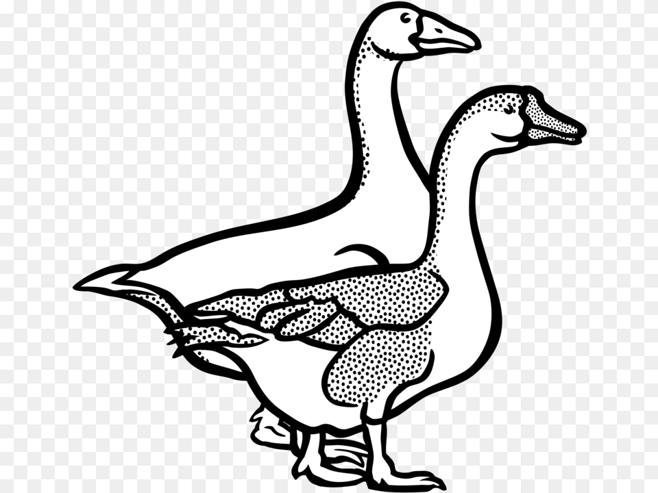 Banner Freeuse Canada Line Art Goose In Black And White, Animal, Anseriformes, Bird, Waterfowl Free Png Download
