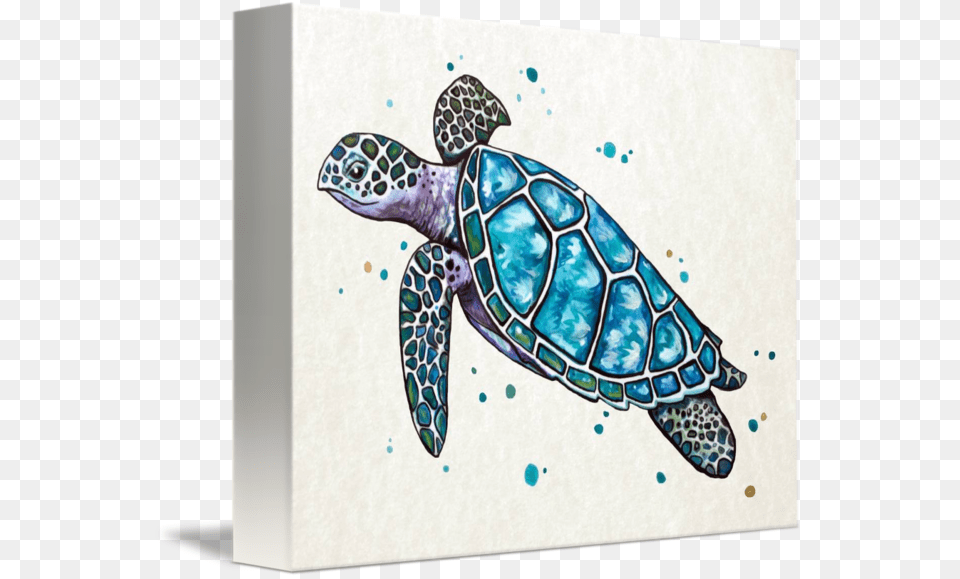 Banner Freeuse Drawing Turtle Watercolor Teal Watercolor Sea Turtle, Animal, Reptile, Sea Life, Sea Turtle Png Image