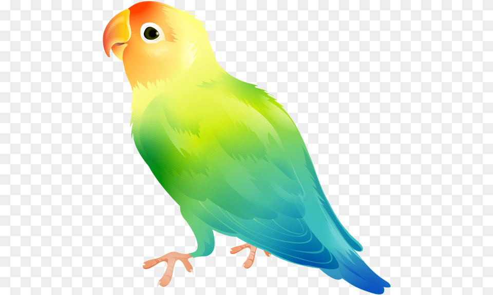 Banner Freeuse Library Parrot Parrot Clipart Background, Animal, Bird, Parakeet, Fish Free Transparent Png