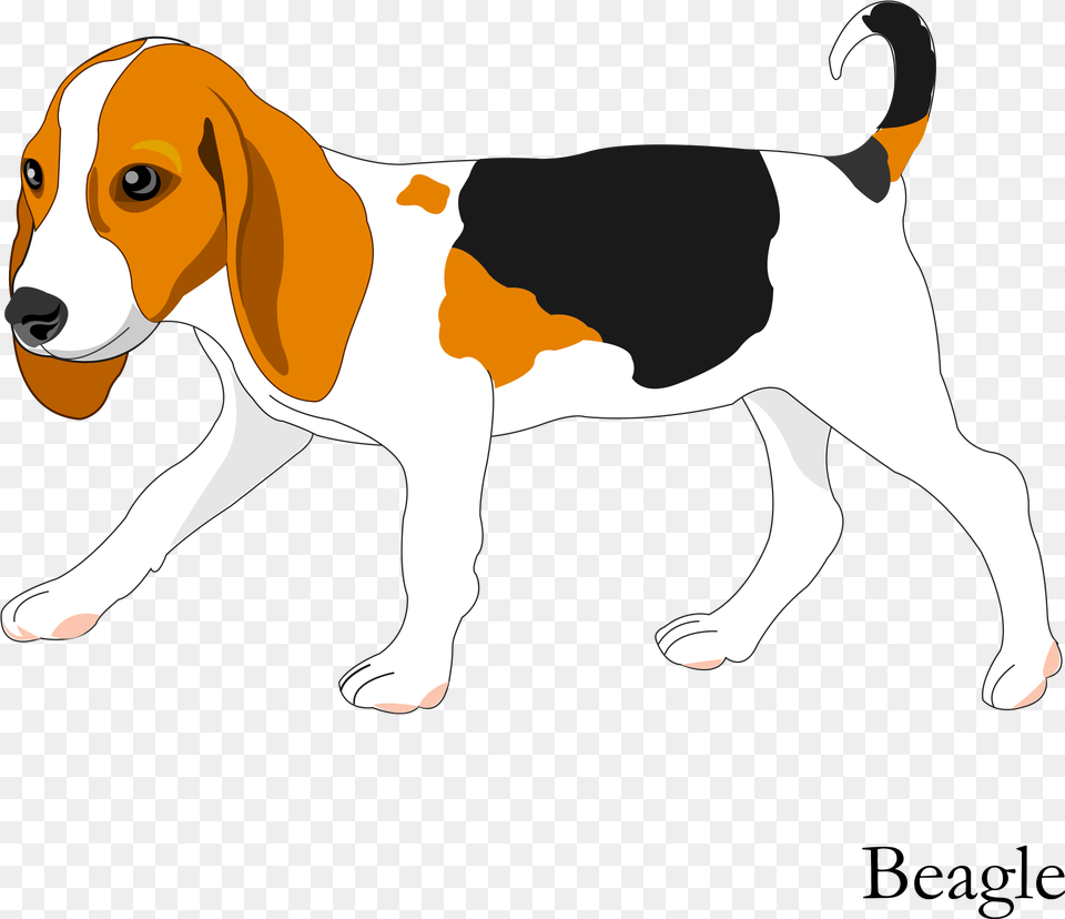 Banner Freeuse Vector Cartoon Hand Painted Dog, Animal, Canine, Hound, Mammal Free Png