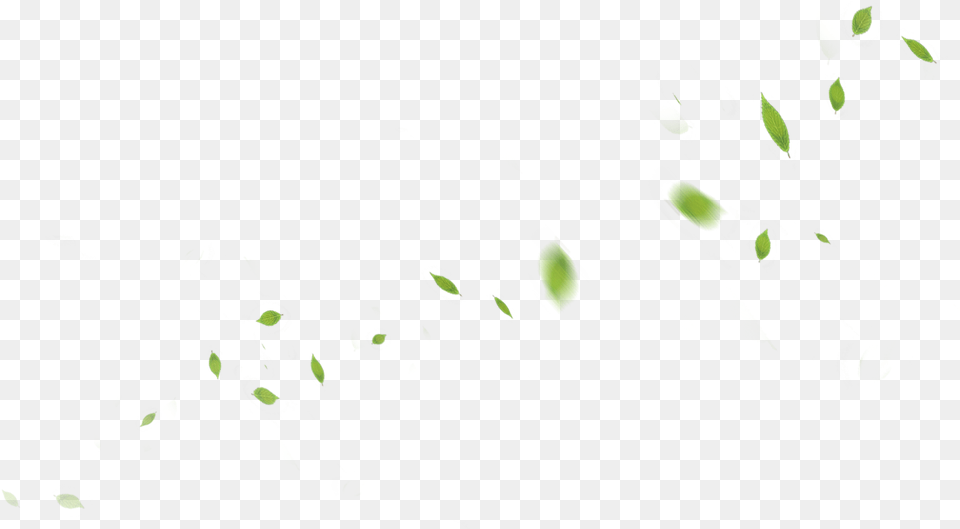 Banner Leaf, Paper, Green, Animal, Firefly Free Png Download