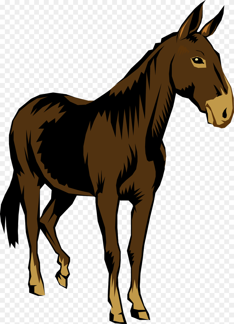 Banner Library Download Mule Head Clipart Mule Clipart, Animal, Colt Horse, Horse, Mammal Free Png