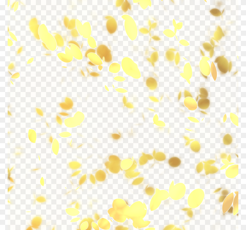 Banner Library Library Petals Yellow Flower Yellow Flower Petals, Texture, Pattern, Blackboard Png