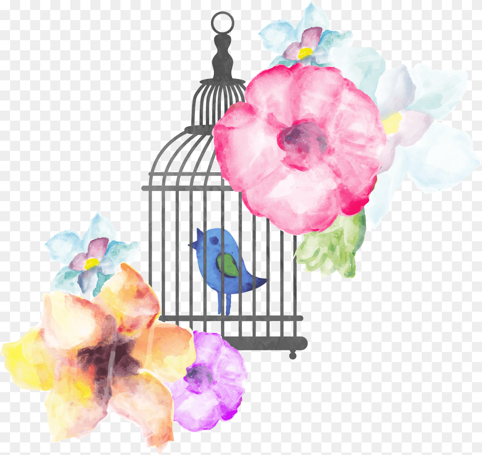 Banner Library Stock Birdcage Transprent Watercolor Painting, Flower, Petal, Plant Png Image
