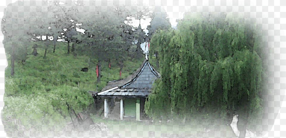 Banner Pic10 Tree, Architecture, Vegetation, Shelter, Rural Free Png Download