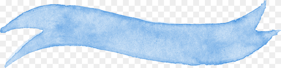 Banner Ribbon Blue, Animal, Sea Life, Mammal, Whale Png Image