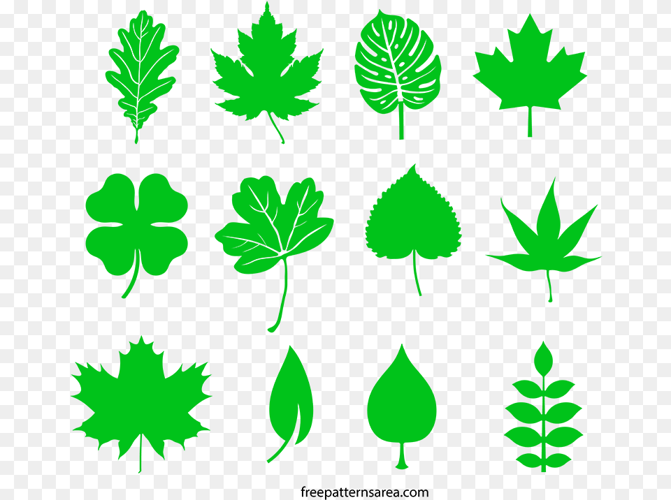 Banner Royalty Collection Of Leaf Svg File Svg File Cut Leaf, Green, Plant, Tree Png Image