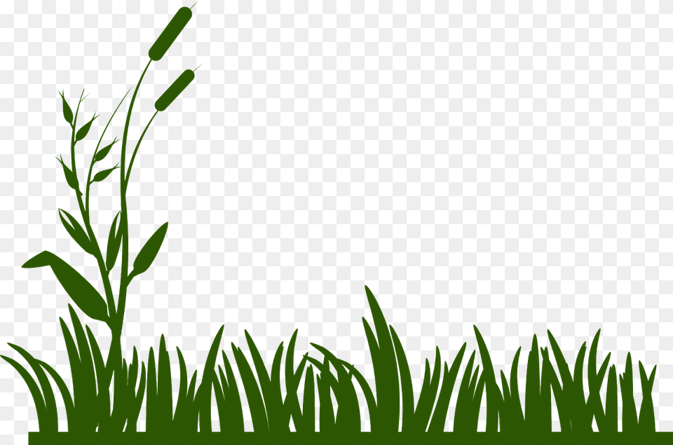 Banner Royalty Download Swamp Clipart Spring Black And White Grass, Vegetation, Green, Plant, Aquatic Png Image