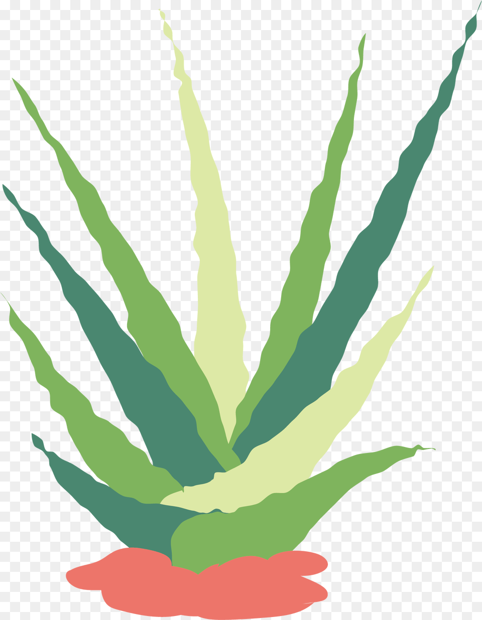 Banner Royalty Stock Cactaceae Succulent Flat Clipart Watercolor Painting, Aloe, Plant, Person Free Transparent Png