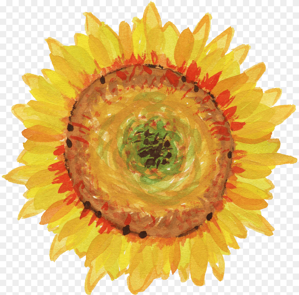 Banner Royalty Stock Onlygfx Com Download Sunflowers Transparent Water Color, Flower, Plant, Sunflower, Petal Png