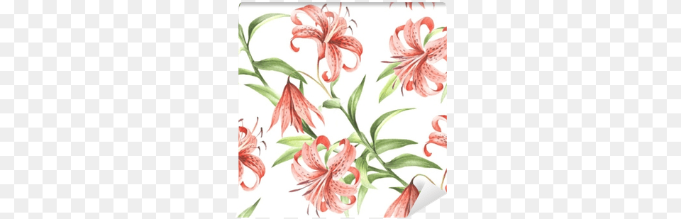 Banner Seamless Pattern Withtiger Lily Drawing, Flower, Plant Free Transparent Png