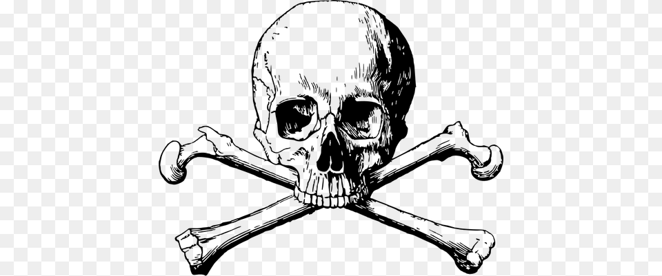Banner Stock Skull And Bones Drawing At Getdrawings Skull And Bones, Gray Free Png Download