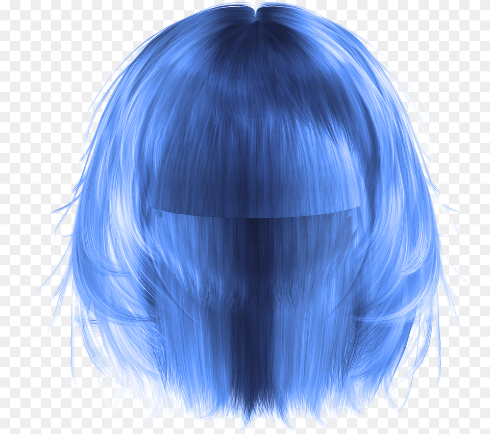 Banner Transparent Black Hair Wig Clip Art Black People Wig Transparent, Person, Animal, Sea Life, Invertebrate Free Png Download