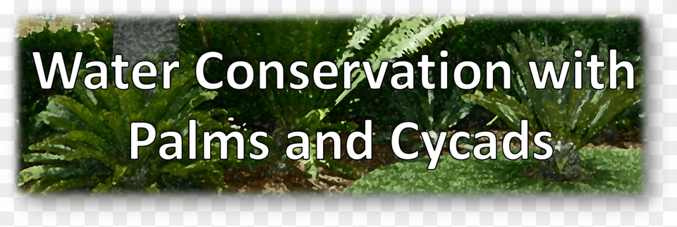 Banner Water Conservation, Outdoors, Vegetation, Tree, Land Free Transparent Png