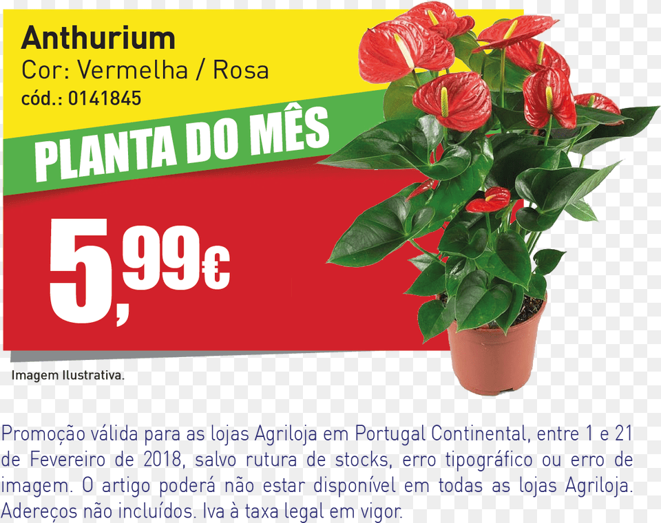 Banner Website Agril Anthurium, Advertisement, Flower, Plant, Flower Arrangement Png
