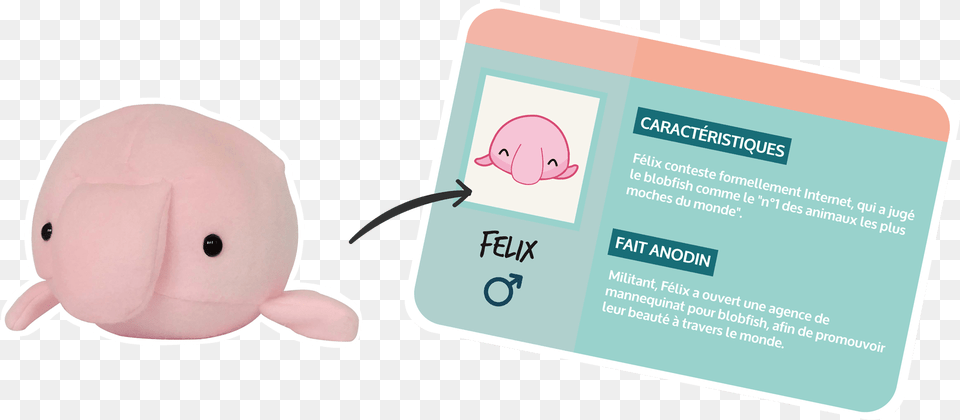 Banniere Blobfish Baby Toys, Text, Business Card, Paper Free Transparent Png