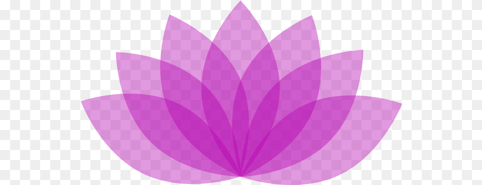 Bansuri Wisdom Sexual Assault Advocacy, Purple, Flower, Plant, Dahlia Free Png