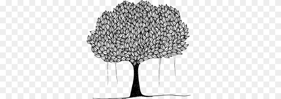 Banyan Banyan Tree Canopy Leafy Trees Plan Tree With Leaves Clipart Black And White, Gray Free Png Download