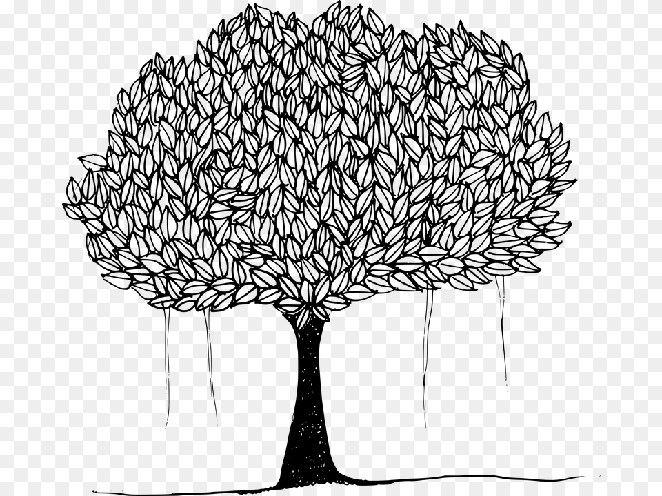 Banyan Banyan Tree Canopy Leafy Trees Plant Shade Drawing Of Peepal Tree, Gray Png Image