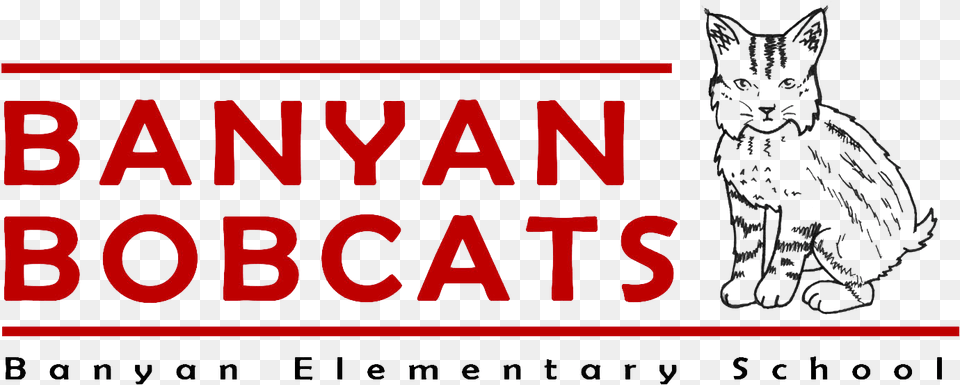 Banyan Elementary School Domestic Short Haired Cat, Animal, Mammal, Pet, Text Free Png