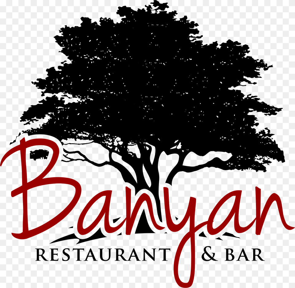 Banyan Restaurant Delray Beach, Plant, Tree, Silhouette, Book Png Image