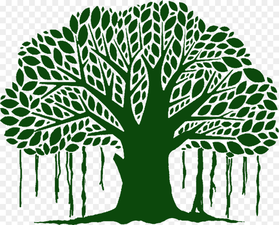Banyan Tree Clip Art Clipart Library Stock Banyan Tree Vector, Vegetation, Green, Plant, Oak Free Png Download