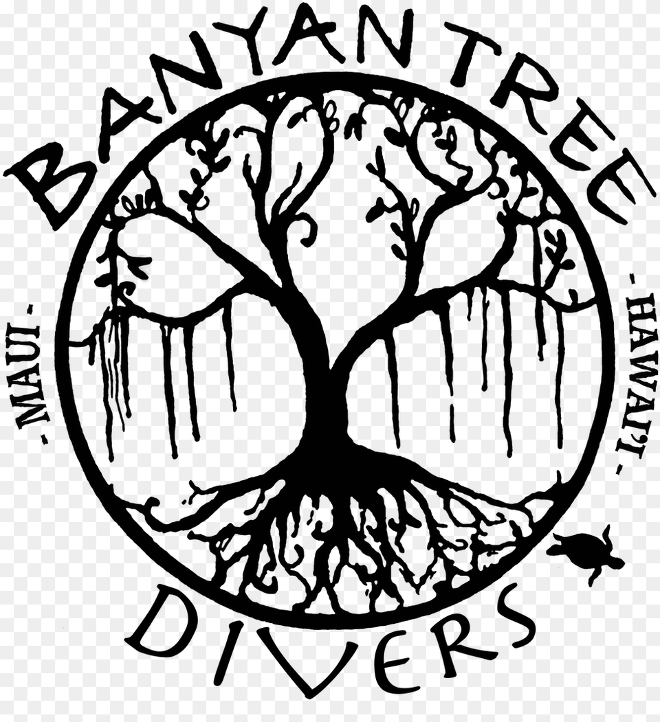 Banyan Tree Divers Maui Banyan Tree Line Art, Blackboard, Drawing Free Transparent Png