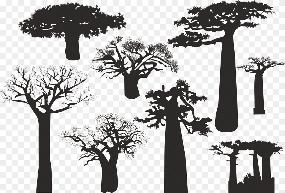 Baobab Tree Silhouette Desert Dead Tre Baobab Tree Silhouette, Art, Drawing, Plant, Stencil Free Transparent Png