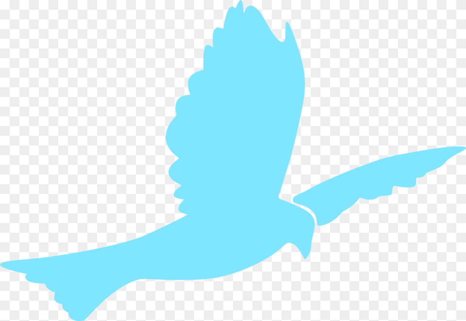 Baptism Transparent Background Dove Clipart Blue Dove, Animal, Bird, Flying, Person Png