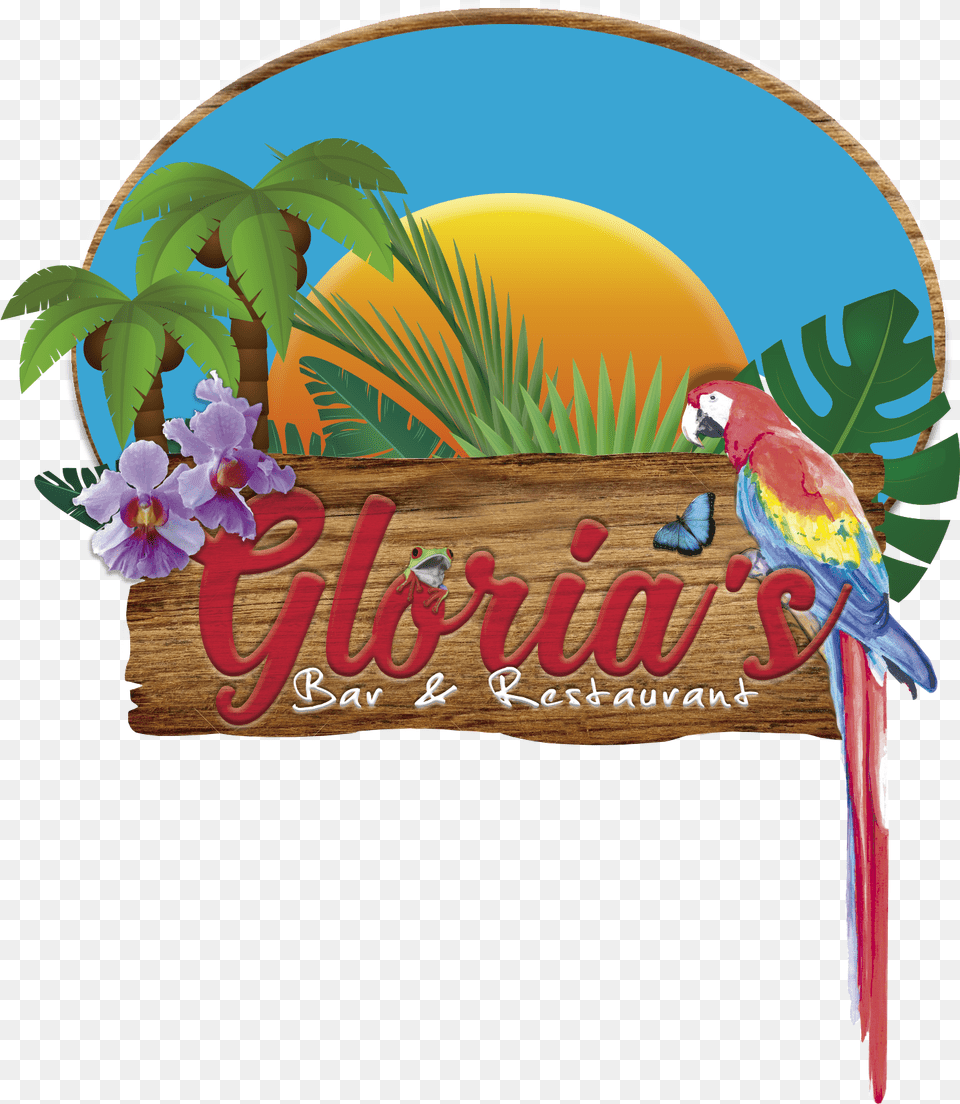 Bar And Grill, Animal, Bird, Parrot, Flower Free Png
