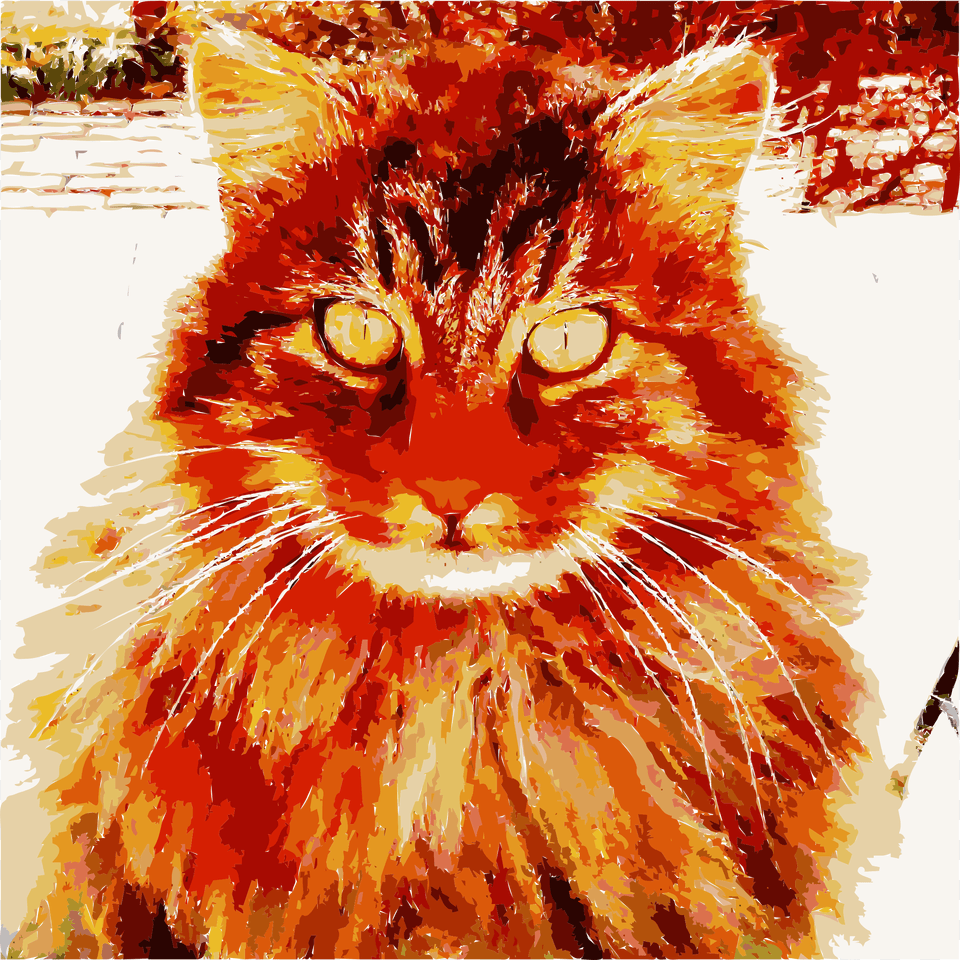 Barack The Cat Says Happy Birthday To Zelda Clip Arts Cat, Animal, Mammal, Manx, Pet Png