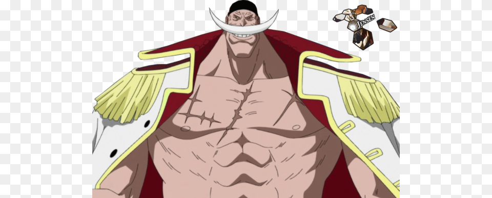 Barba Branca Barba Branca One Piece, Adult, Male, Man, Person Free Transparent Png