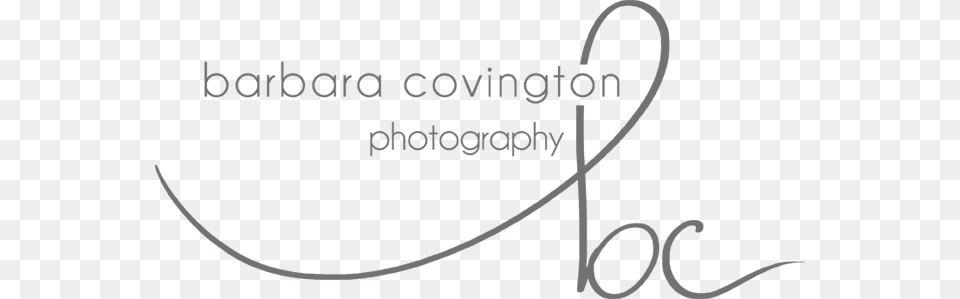 Barbara B Covington Photography Georgia Based Modern B Logo Photography Gray Free Transparent Png