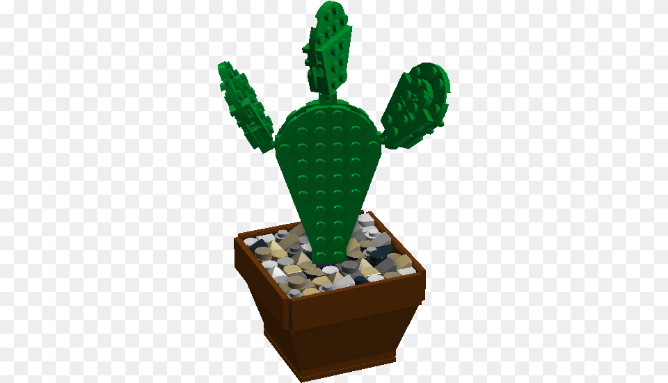 Barbary Fig, Cactus, Plant, Potted Plant, Person Free Transparent Png