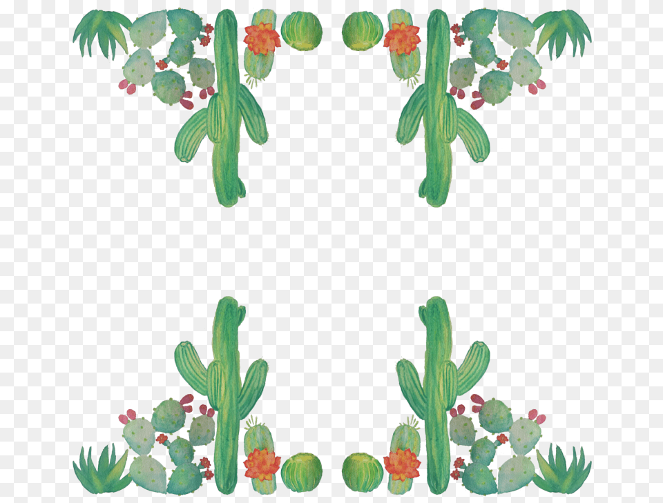 Barbary Fig, Cactus, Plant Free Png