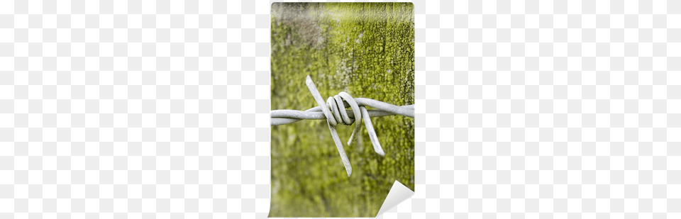 Barbed Wire, Barbed Wire, Knot Free Transparent Png