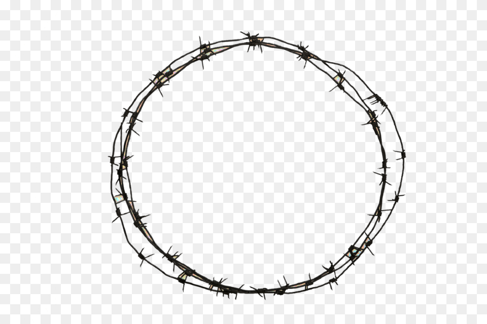 Barbed Wire, Animal, Lizard, Reptile, Barbed Wire Free Transparent Png