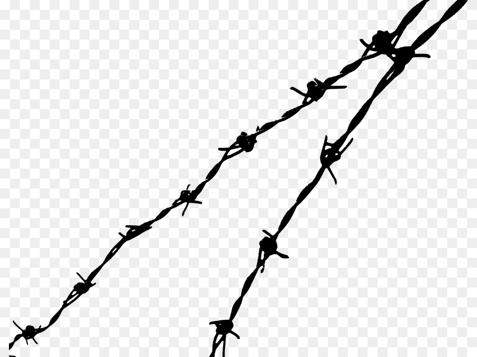 Barbed Wire Clipart, Gray Png
