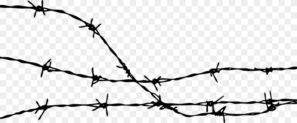 Barbed Wire Clipart, Barbed Wire, Animal, Lizard, Reptile Free Png Download