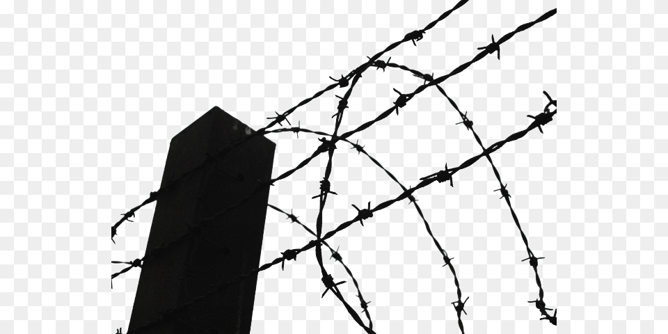 Barbed Wire Clipart Transparent Background Prison Barb Wire, Barbed Wire Png